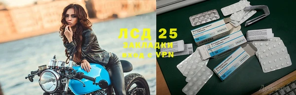 стаф Абаза