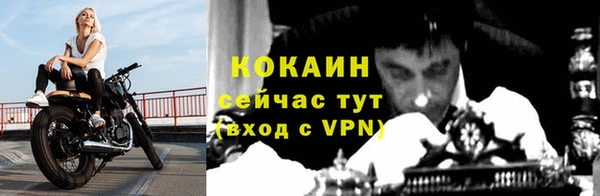 гашик Медвежьегорск