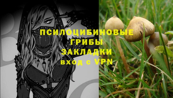 не бодяженный Мегион