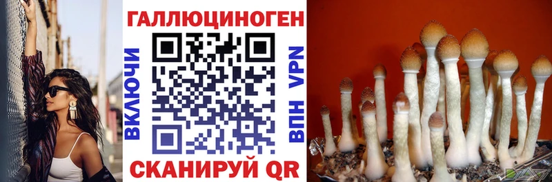 Псилоцибиновые грибы мицелий  Янаул 